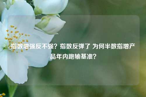 指数增强反不强？指数反弹了 为何半数指增产品年内跑输基准？