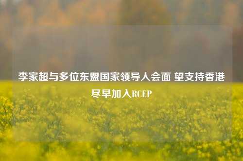 李家超与多位东盟国家领导人会面 望支持香港尽早加入RCEP