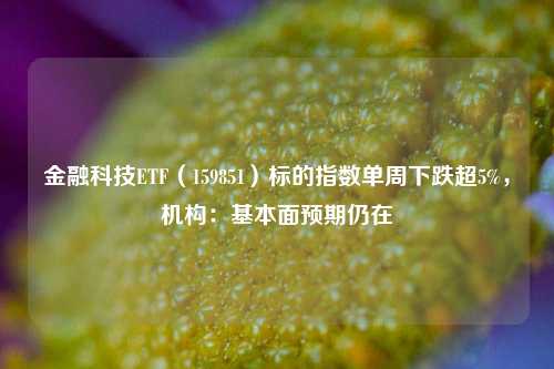 金融科技ETF（159851）标的指数单周下跌超5%，机构：基本面预期仍在