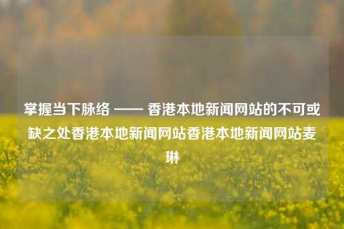 掌握当下脉络 —— 香港本地新闻网站的不可或缺之处香港本地新闻网站香港本地新闻网站麦琳