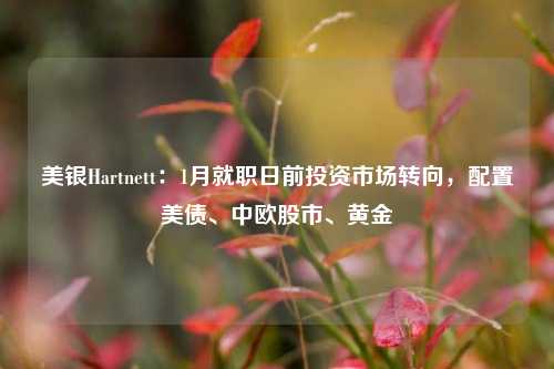 美银Hartnett：1月就职日前投资市场转向，配置美债、中欧股市、黄金