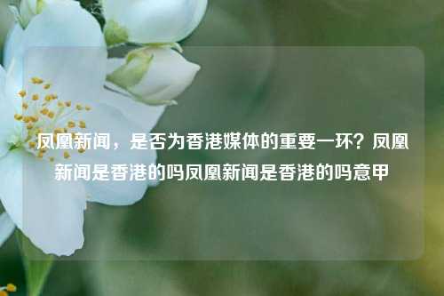 凤凰新闻，是否为香港媒体的重要一环？凤凰新闻是香港的吗凤凰新闻是香港的吗意甲