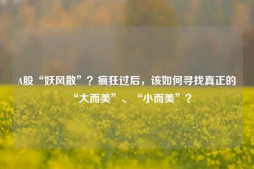 A股“妖风散”？疯狂过后，该如何寻找真正的“大而美”、“小而美”？