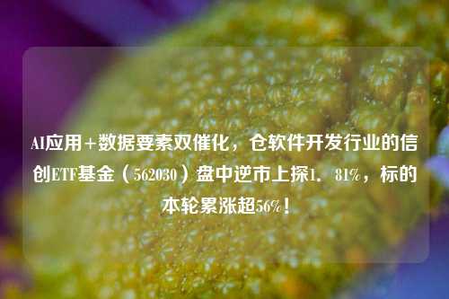 AI应用+数据要素双催化，仓软件开发行业的信创ETF基金（562030）盘中逆市上探1．81%，标的本轮累涨超56%！