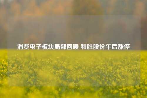 消费电子板块局部回暖 和胜股份午后涨停