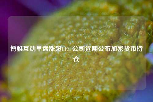 博雅互动早盘涨超11% 公司近期公布加密货币持仓