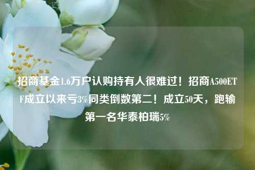 招商基金1.6万户认购持有人很难过！招商A500ETF成立以来亏3%同类倒数第二！成立50天，跑输第一名华泰柏瑞5%