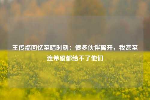 王传福回忆至暗时刻：很多伙伴离开，我甚至连希望都给不了他们