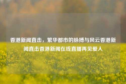 香港新闻直击，繁华都市的脉搏与风云香港新闻直击香港新闻在线直播再见爱人