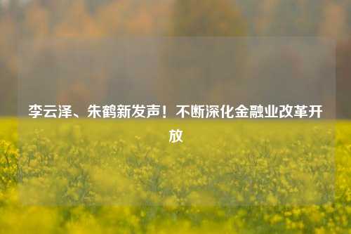 李云泽、朱鹤新发声！不断深化金融业改革开放