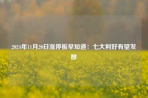 2024年11月20日涨停板早知道：七大利好有望发酵