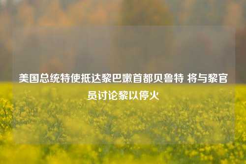 美国总统特使抵达黎巴嫩首都贝鲁特 将与黎官员讨论黎以停火