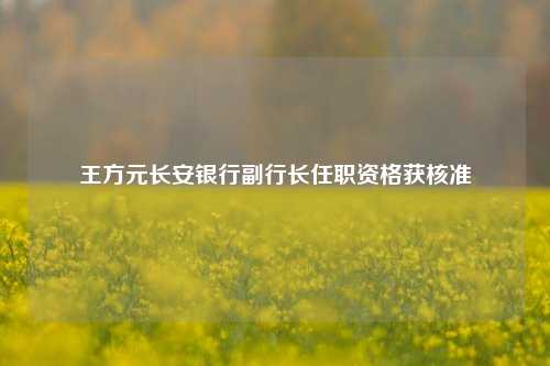 王方元长安银行副行长任职资格获核准