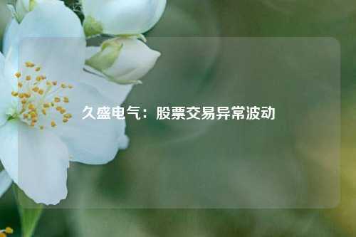 久盛电气：股票交易异常波动