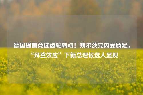 德国提前竞选齿轮转动！朔尔茨党内受质疑，“拜登效应”下新总理候选人显现