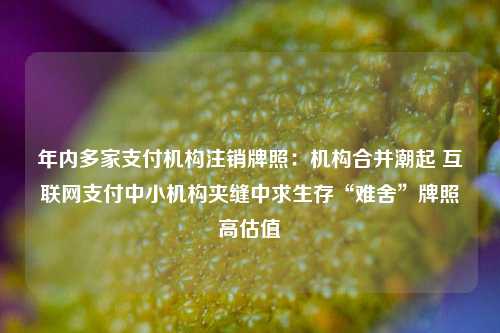 年内多家支付机构注销牌照：机构合并潮起 互联网支付中小机构夹缝中求生存“难舍”牌照高估值