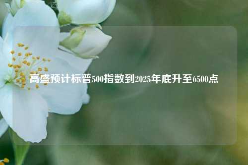 高盛预计标普500指数到2025年底升至6500点