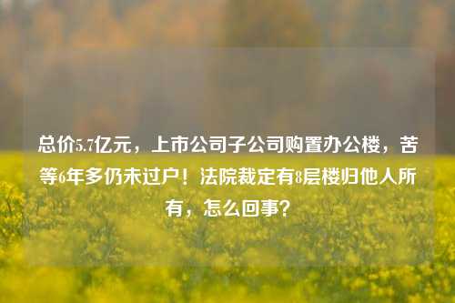 总价5.7亿元，上市公司子公司购置办公楼，苦等6年多仍未过户！法院裁定有8层楼归他人所有，怎么回事？