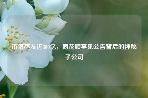 市值蒸发近300亿，同花顺罕见公告背后的神秘子公司