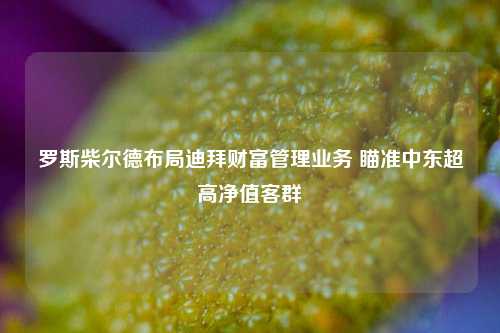 罗斯柴尔德布局迪拜财富管理业务 瞄准中东超高净值客群