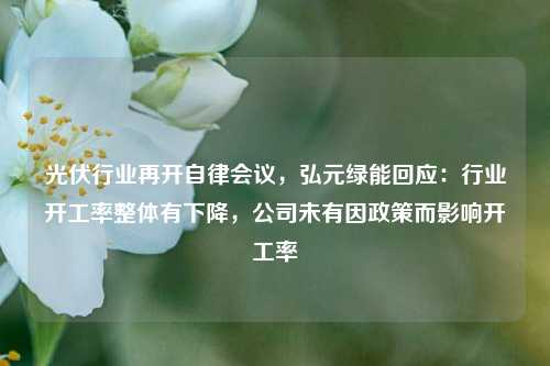 光伏行业再开自律会议，弘元绿能回应：行业开工率整体有下降，公司未有因政策而影响开工率