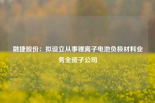 融捷股份：拟设立从事锂离子电池负极材料业务全资子公司