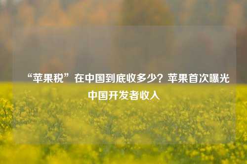 “苹果税”在中国到底收多少？苹果首次曝光中国开发者收入