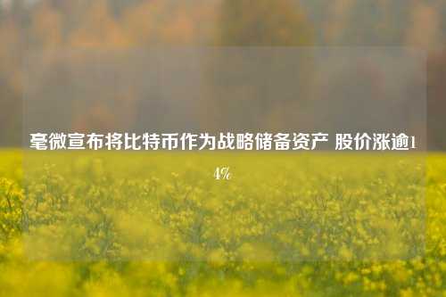 毫微宣布将比特币作为战略储备资产 股价涨逾14%