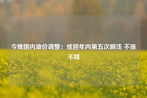 今晚国内油价调整：或迎年内第五次搁浅 不涨不降