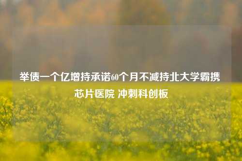 举债一个亿增持承诺60个月不减持北大学霸携 芯片医院 冲刺科创板