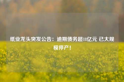 纸业龙头突发公告：逾期债务超18亿元 已大规模停产！