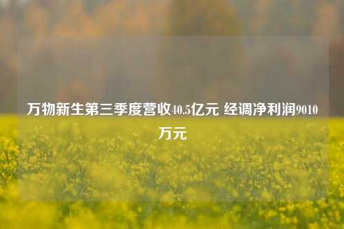 万物新生第三季度营收40.5亿元 经调净利润9010万元