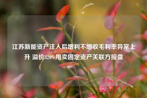 江苏新能资产注入后增利不增收毛利率异常上升 溢价320%甩卖固定资产关联方接盘