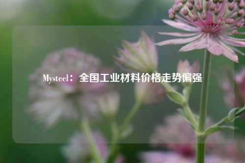 Mysteel：全国工业材料价格走势偏强