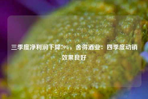 三季度净利润下降79%，舍得酒业：四季度动销效果良好