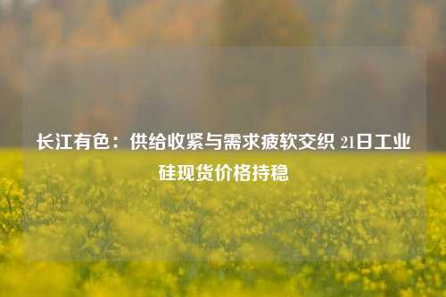 长江有色：供给收紧与需求疲软交织 21日工业硅现货价格持稳