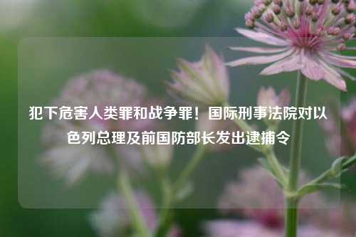 犯下危害人类罪和战争罪！国际刑事法院对以色列总理及前国防部长发出逮捕令