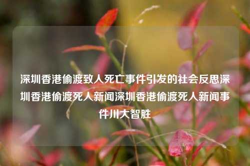 深圳香港偷渡致人死亡事件引发的社会反思深圳香港偷渡死人新闻深圳香港偷渡死人新闻事件川大智胜