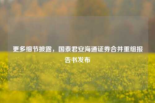 更多细节披露，国泰君安海通证券合并重组报告书发布