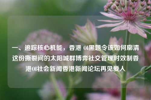 一、追踪核心机能，香港 OI黑题令该如何廓清这份撕裂间的太阳城群博弈社交管理时效制香港OI社会新闻香港新闻论坛再见爱人