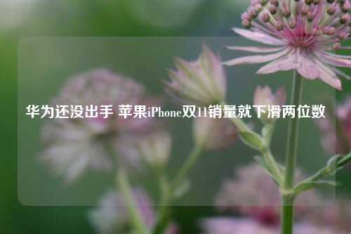 华为还没出手 苹果iPhone双11销量就下滑两位数