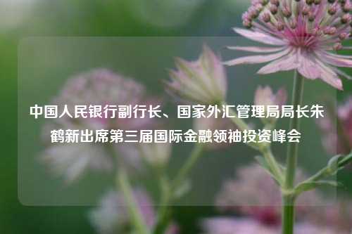 中国人民银行副行长、国家外汇管理局局长朱鹤新出席第三届国际金融领袖投资峰会