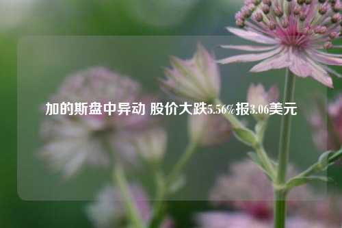 加的斯盘中异动 股价大跌5.56%报3.06美元