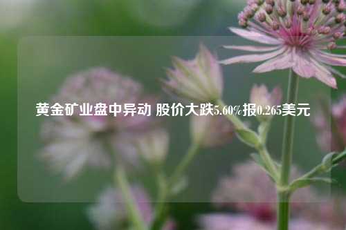 黄金矿业盘中异动 股价大跌5.60%报0.265美元