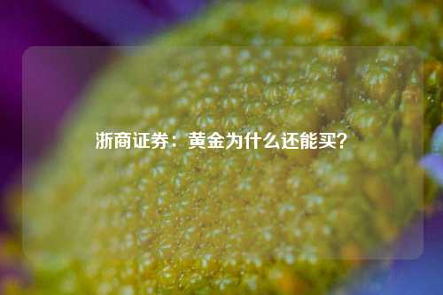 浙商证券：黄金为什么还能买？