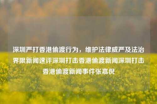 深圳严打香港偷渡行为，维护法律威严及法治界限新闻速评深圳打击香港偷渡新闻深圳打击香港偷渡新闻事件张嘉倪