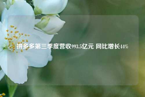 拼多多第三季度营收993.5亿元 同比增长44%