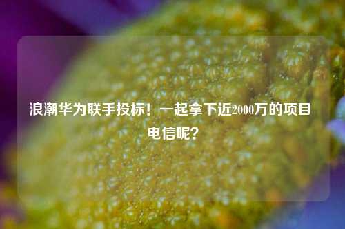 浪潮华为联手投标！一起拿下近2000万的项目 电信呢？