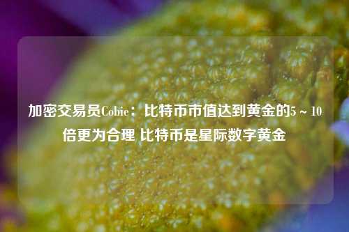 加密交易员Cobie：比特币市值达到黄金的5～10倍更为合理 比特币是星际数字黄金