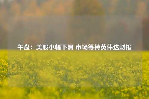 午盘：美股小幅下滑 市场等待英伟达财报